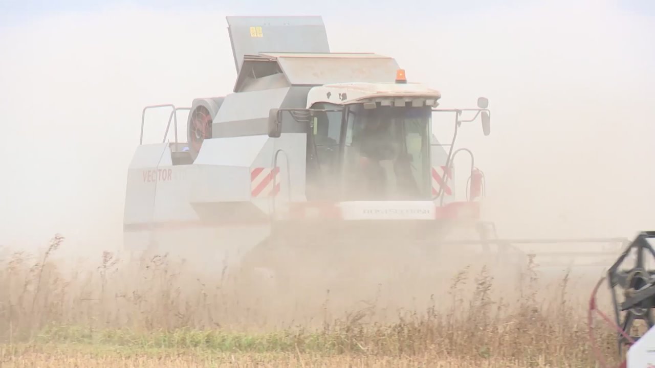 В ЕАО подводят итоги сельскохозяйственного года