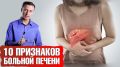 Печень под угрозой: пять тревожных сигналов, которые нельзя игнорировать