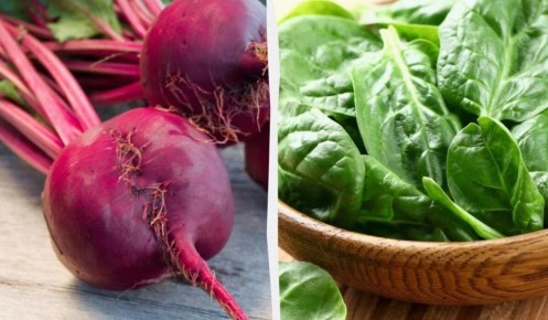 Овощи, которые подарят вашему организму магний и здоровое долголетие