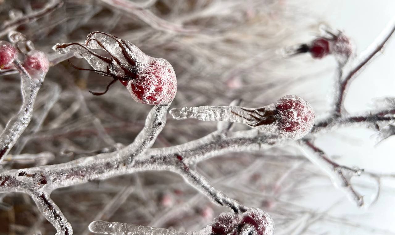 Рыбам придётся проявить лидерские качества, а день Водолеев будет сосредоточен на практичности