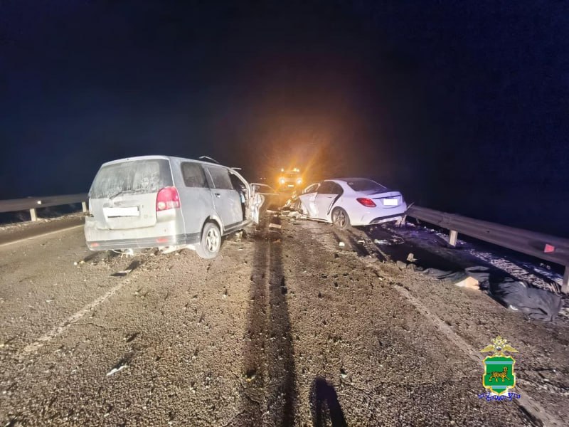 27-летний парень без водительских прав стал виновником смертельного ДТП в ЕАО 27-летний парень без водительских прав стал виновником смертельного ДТП в ЕАО