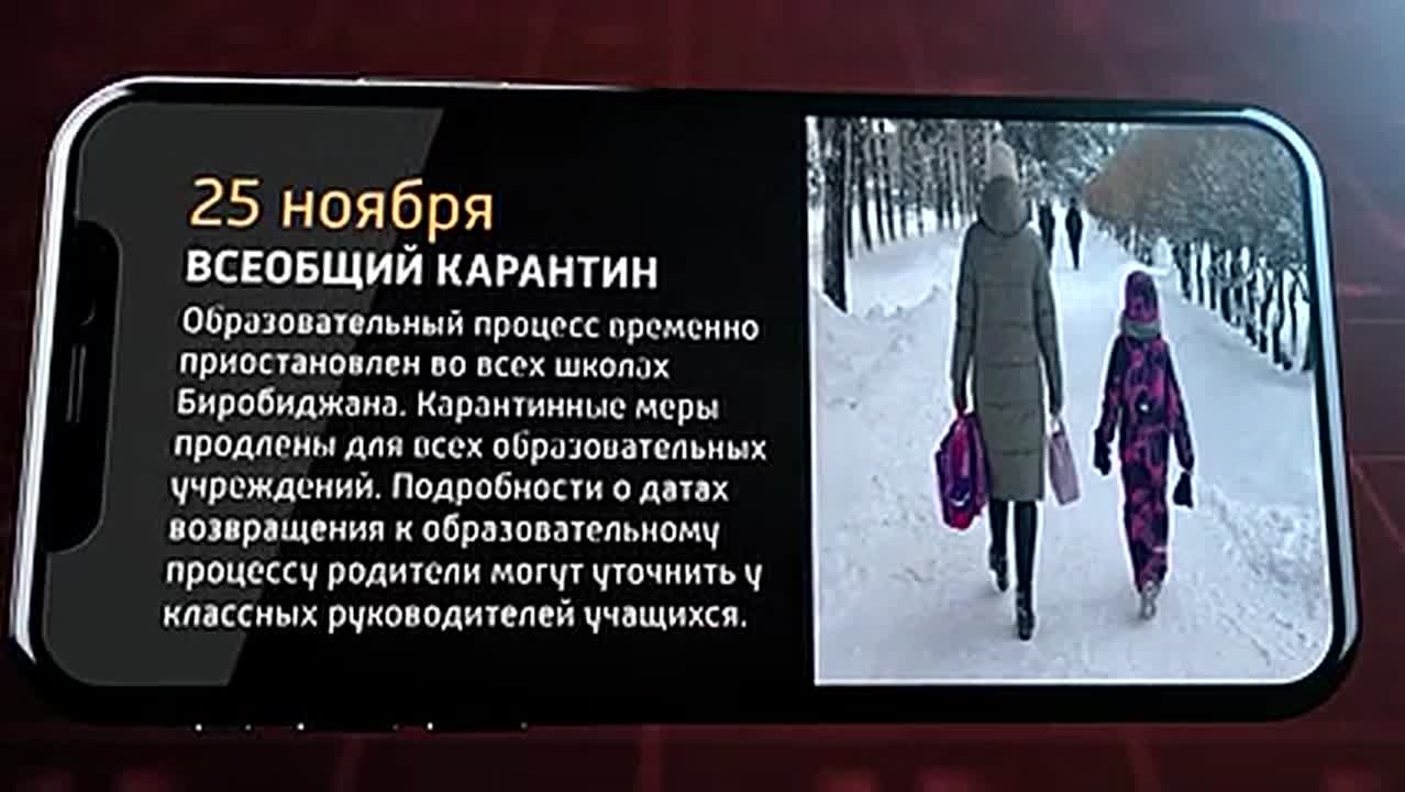 Мобильные новости ЕАО 25 ноября 2025