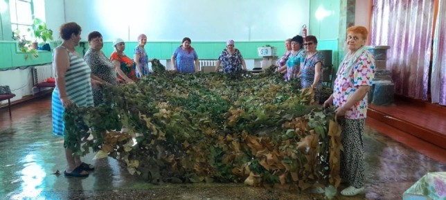 Более 70 проектов ТОС получили поддержку в ЕАО