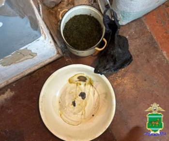 Сотрудники полиции ОМВД России по Смидовичскому району изъяли из незаконного оборота более 3 кг наркотических средств растительного происхождения