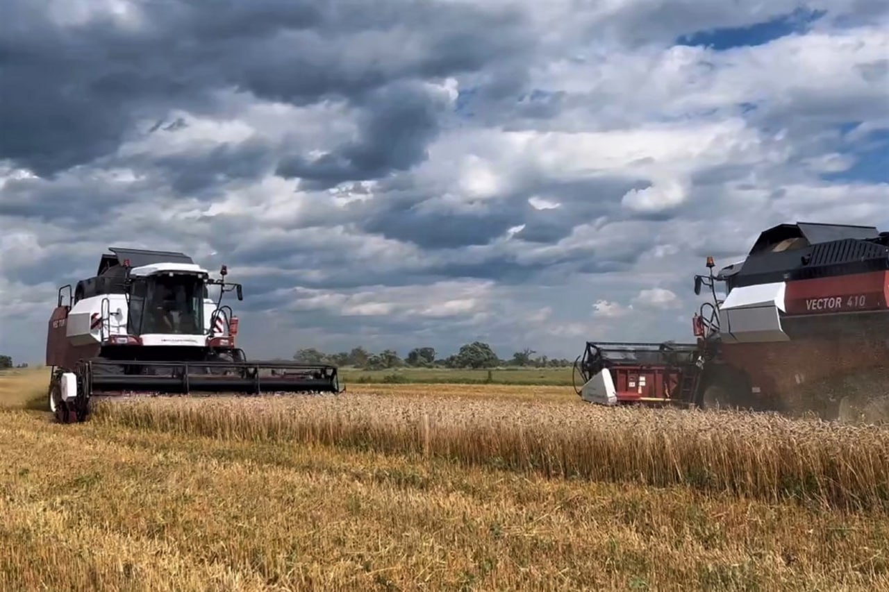 Стартовали итоговые отборы на предоставление субсидий аграриям ЕАО Стартовали итоговые отборы на предоставление субсидий аграриям ЕАО