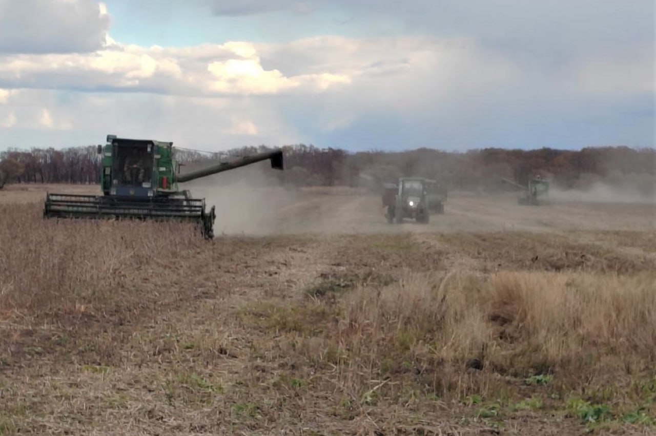 Стартовали итоговые отборы на предоставление субсидий аграриям ЕАО Стартовали итоговые отборы на предоставление субсидий аграриям ЕАО
