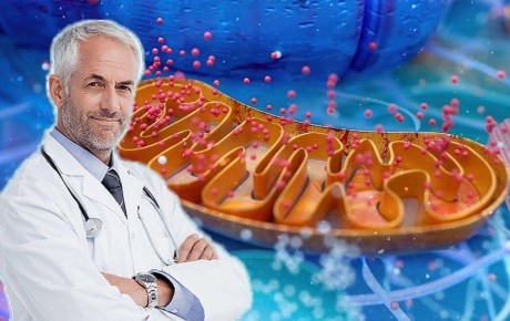 Как улучшить уровень энергии после 50: секреты из мира митохондрий