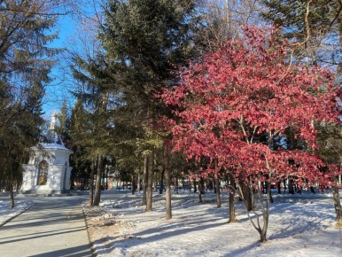 Доброе утро, Еврейская автономная область!