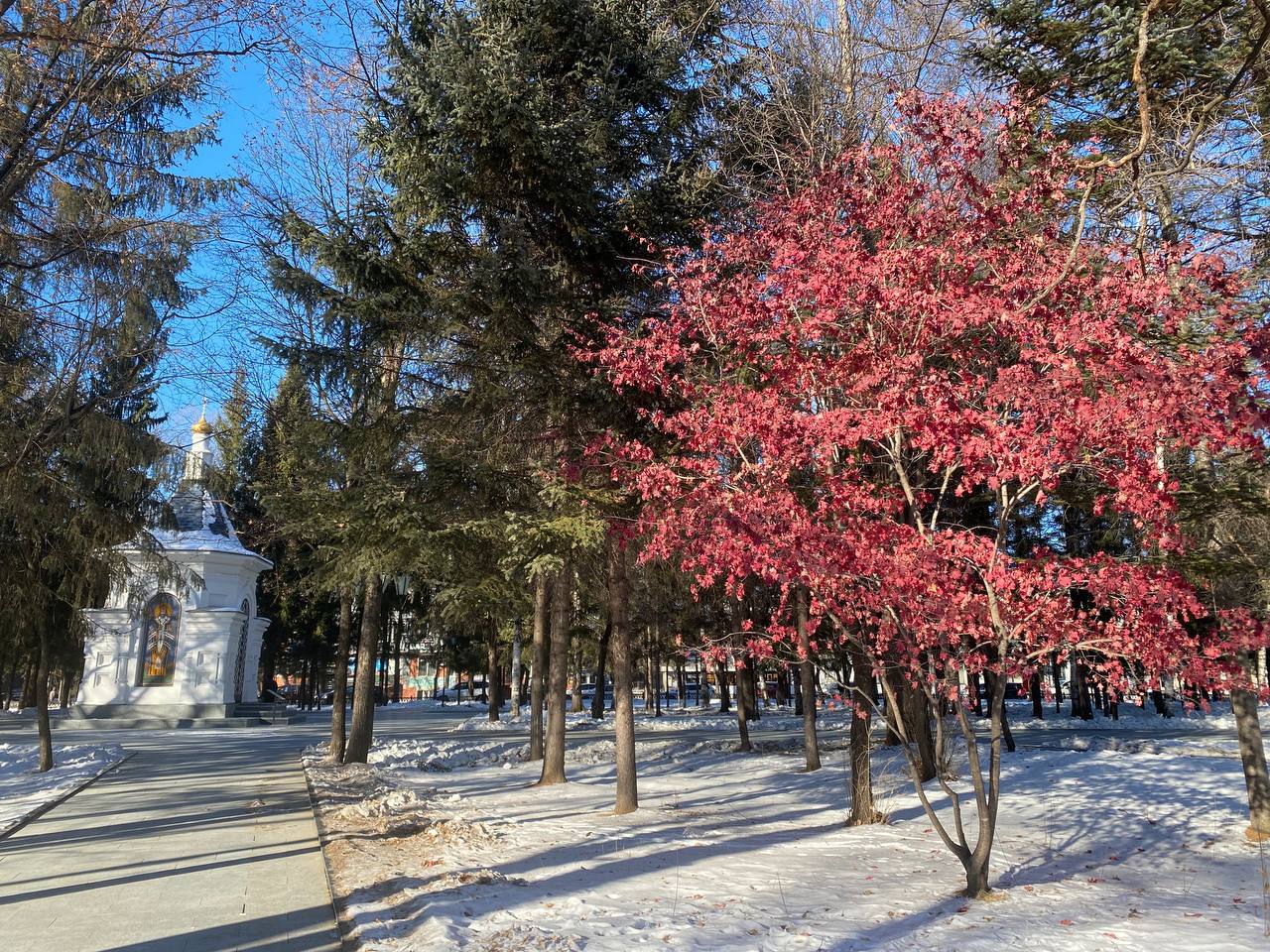 Доброе утро, Еврейская автономная область!