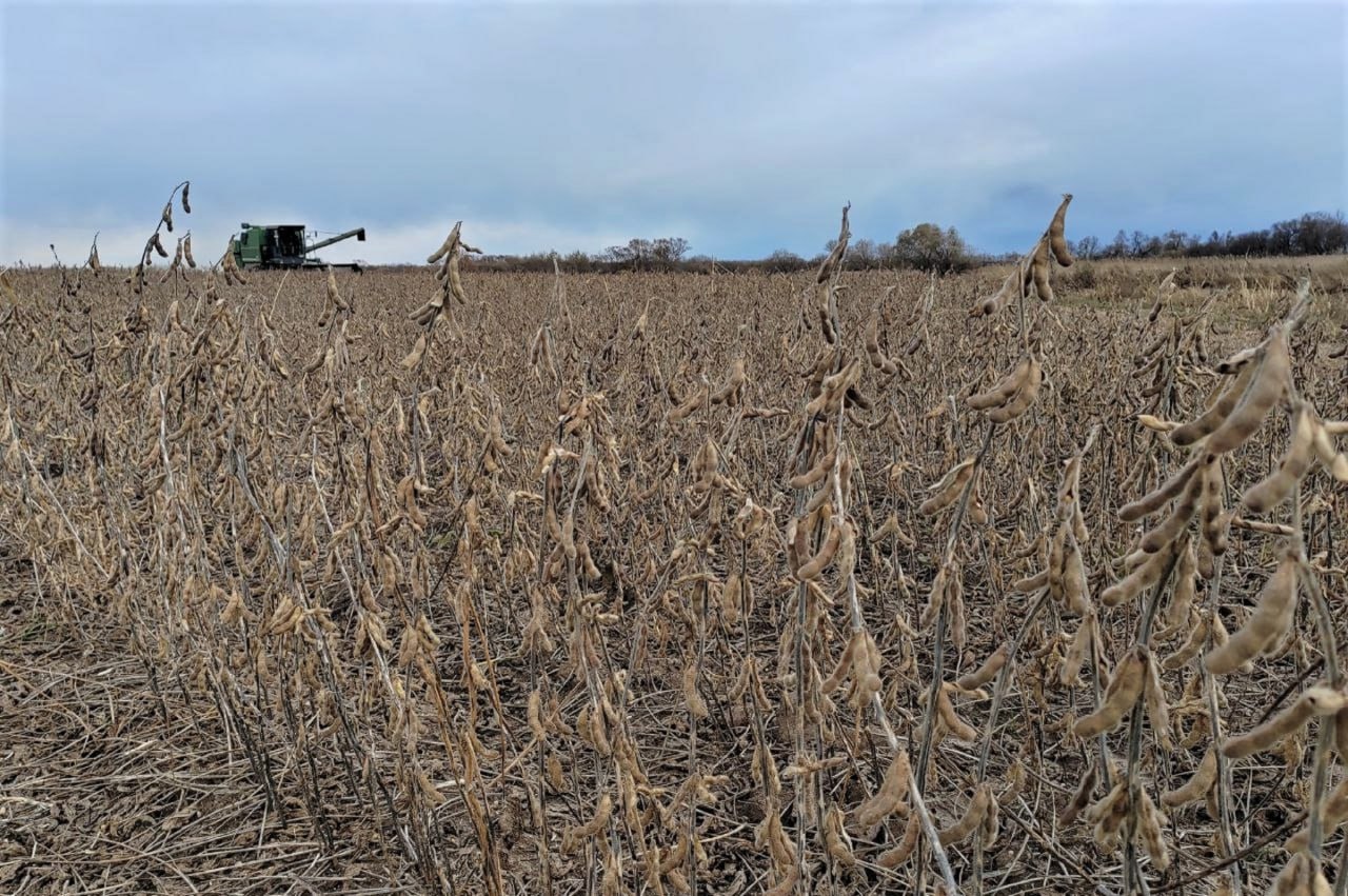 Стартовали итоговые отборы на предоставление субсидий аграриям ЕАО Стартовали итоговые отборы на предоставление субсидий аграриям ЕАО