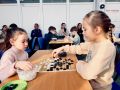Турнир по го среди новичков прошел в Биробиджане
