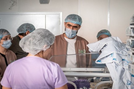 Медики из ЕАО обменялись опытом с коллегами из ДНР