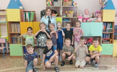 От знаков до зебры: автоинспекторы провели интерактивный урок ПДД для самых маленьких пешеходов Биробиджана