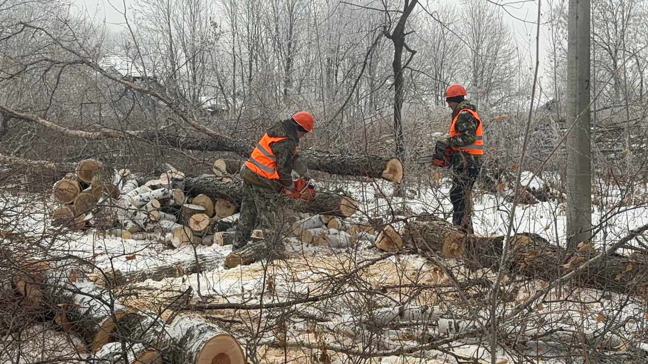 Инициативы губернатора и федерального центра повышают качество жизни Инициативы губернатора и федерального центра повышают качество жизни