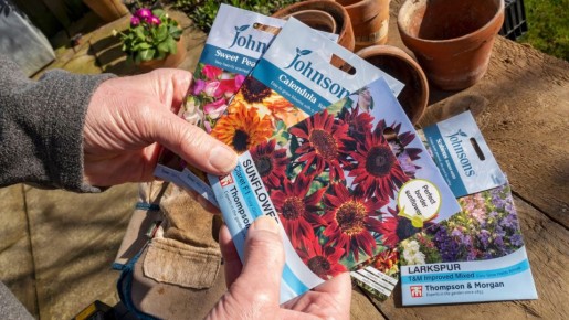 Как проверить семена на всхожесть за минуту: совет от опытных садоводов