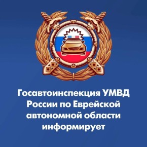 Сотрудники Госавтоинспекции проведут сплошные проверки водителей транспортных средств по недопущению грубых нарушений Правил дорожного движения