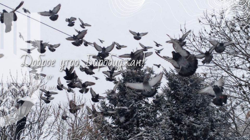 �����, ����������!. ������ ����� ����� � ��������� ��� ������ ���, � ���������� � �� ����������