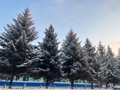 Доброе утро, Еврейская автономная область!