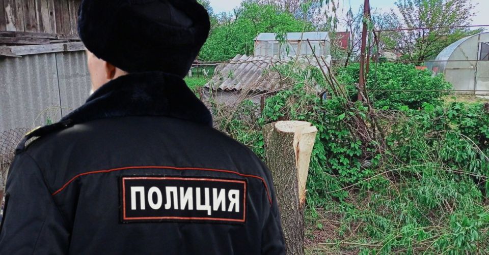 �������� �������: ������� ������� ��������� 10 ��������� ������ �� ������� �������� � ����