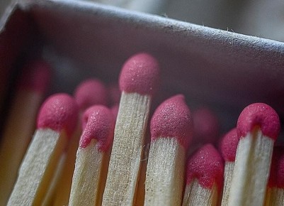 Как спички могут спасти ваши комнатные растения от мошек