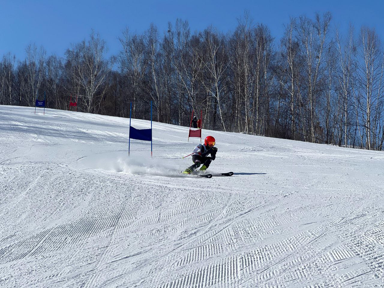 Восемь проектов по развитию туризма в ЕАО получили федеральную поддержку Восемь проектов по развитию туризма в ЕАО получили федеральную поддержку