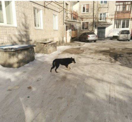 Прокуратура помогла семье 8-летнего жителя областного центра получить 70 тыс