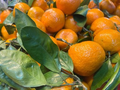 Весы будут внимательны к деталям, а Раки почувствуют творческое вдохновение