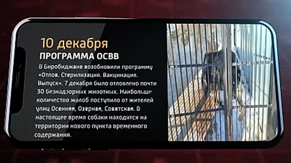 ��������� ������� ��� 10 ������� 2025