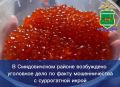 В Смидовичском районе возбуждено уголовное дело по факту мошенничества с суррогатной икрой
