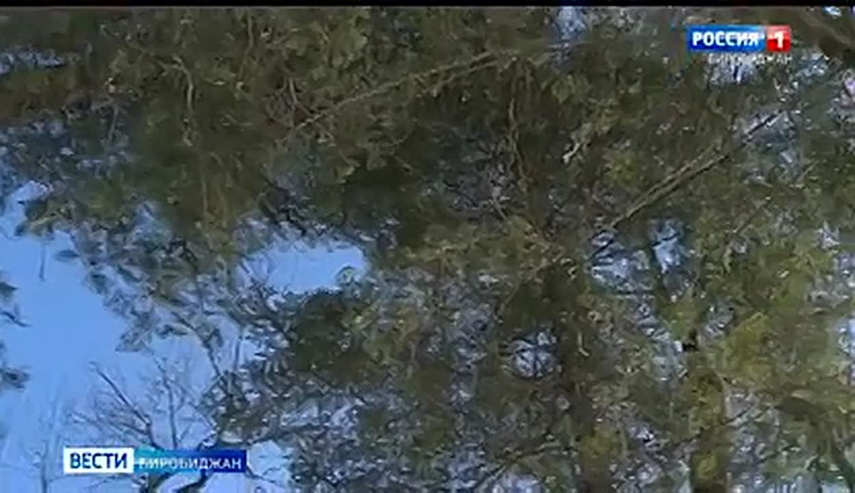 Еврейская автономия привлекает рекордные инвестиции в туризм