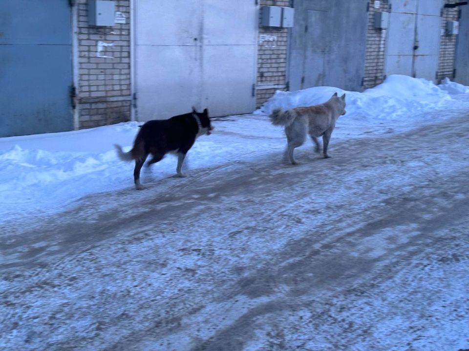 ����� ����������� ������� ��������� ��������� ����������� ������������������� ����� ����� ������