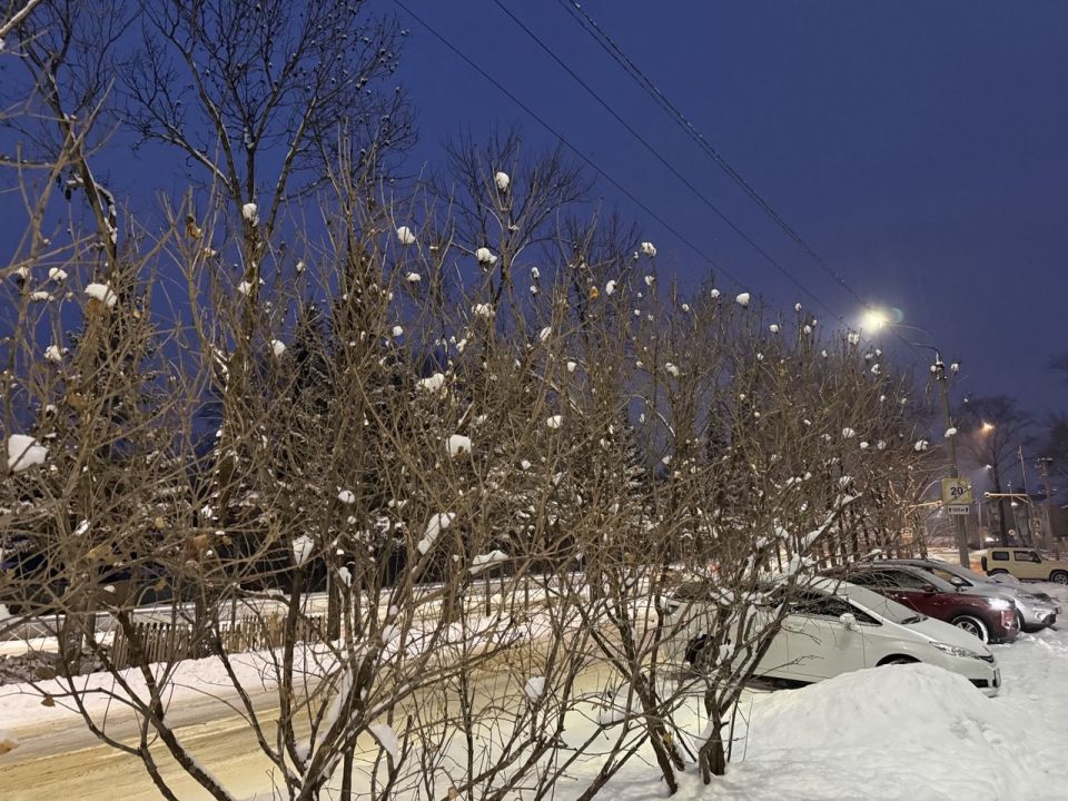 ������ ����, ��������� ���������� �������!