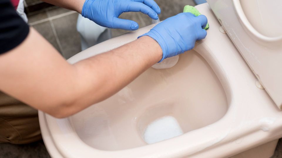 99% ������ �������� � ������ ����� ����: ����� �� ����� ������� ����� ���� �������