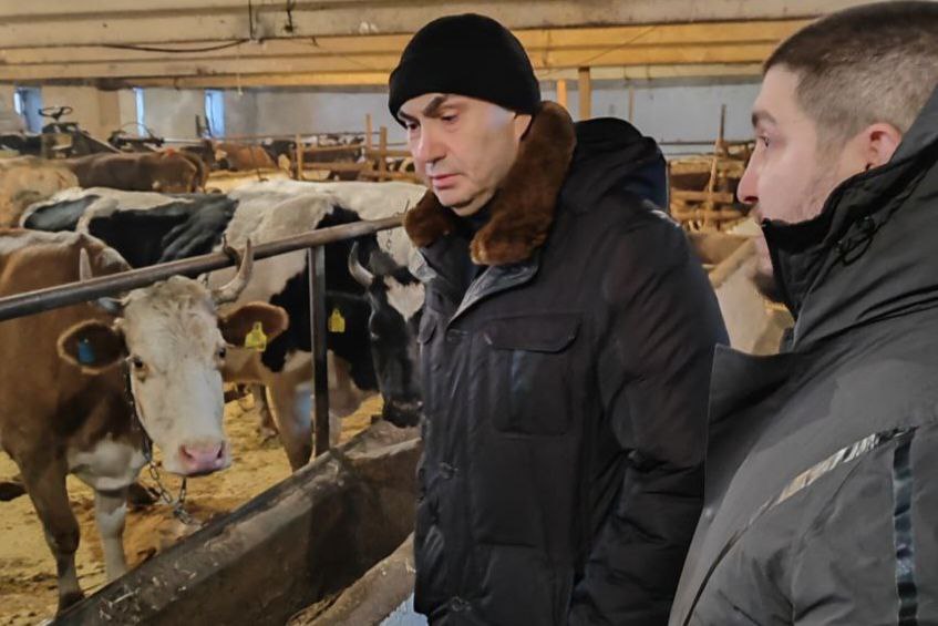 Минсельхоз России готов содействовать аграриям ЕАО Минсельхоз России готов содействовать аграриям ЕАО