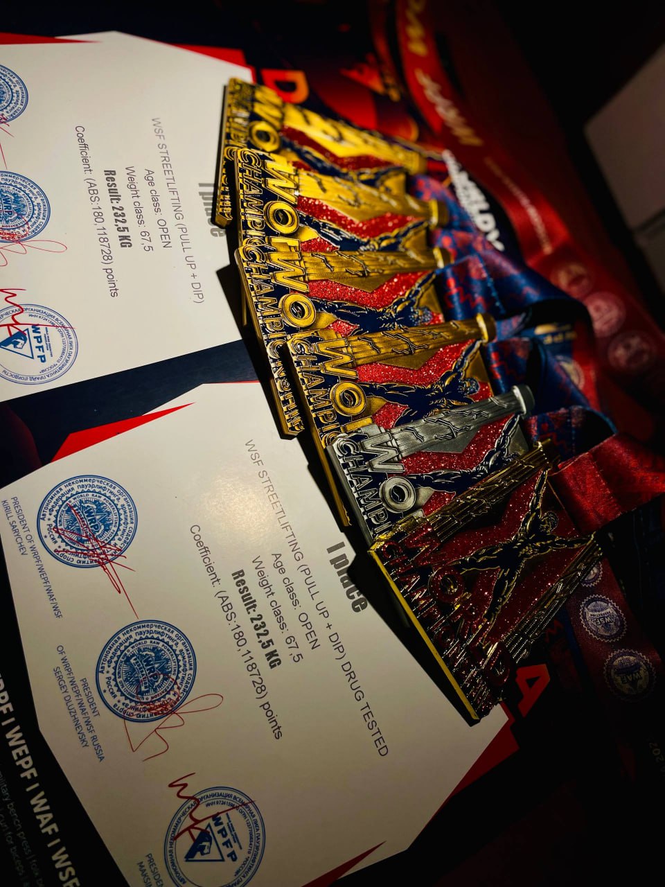 Биробиджанец Никита Шаламов установил 10 мировых рекордов на чемпионате мира по пауэрлифтингу Биробиджанец Никита Шаламов установил 10 мировых рекордов на чемпионате мира по пауэрлифтингу