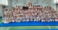 Более 200 юных спортсменов собрала открытая новогодняя тренировка по киокусинкай в Биробиджане