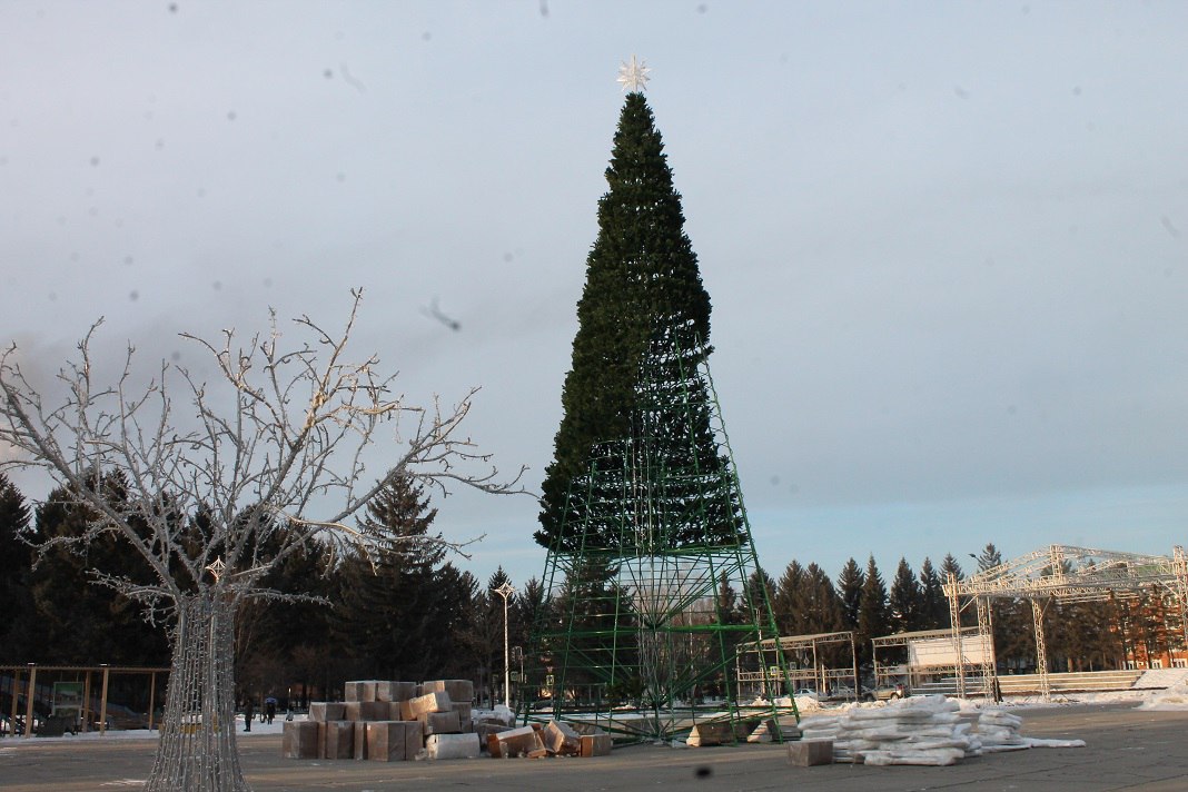 Новый год под новой ёлкой встретят жители и гости Биробиджана Новый год под новой ёлкой встретят жители и гости Биробиджана
