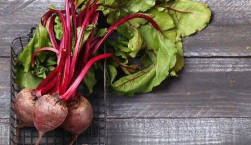 Мангольд: новый суперфуд в вашем рационе, который заменит свёклу