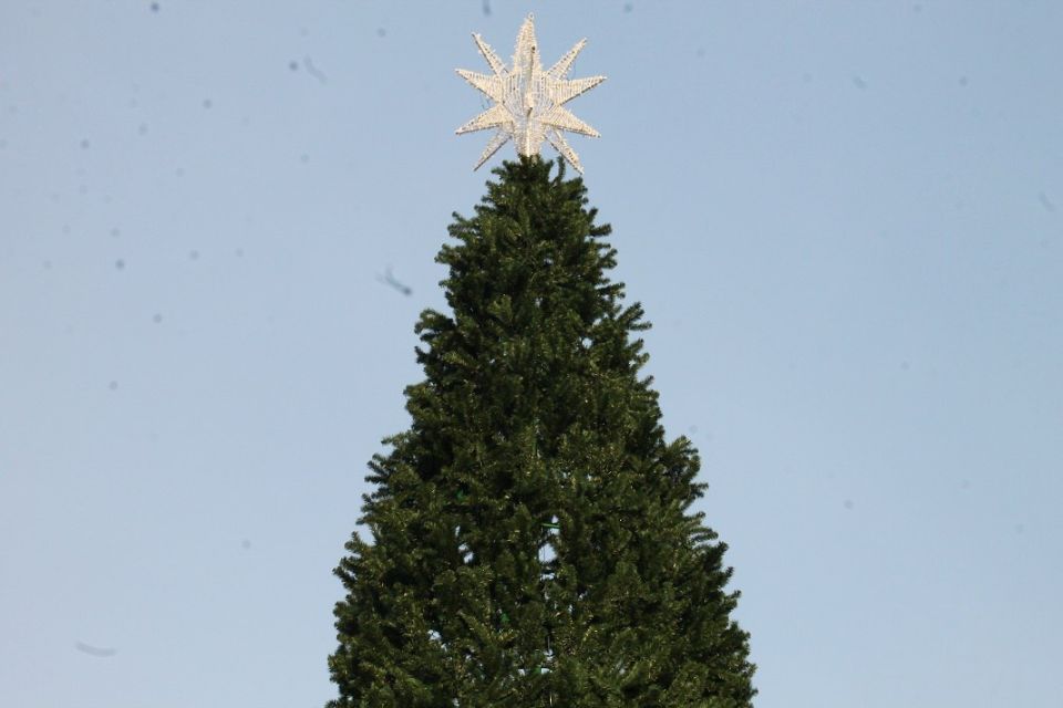 ����� ��� ��� ����� ����� �������� ������ � ����� �����������