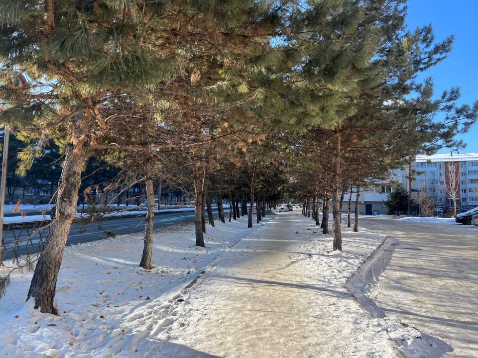 ������ ����, ��������� ���������� �������!