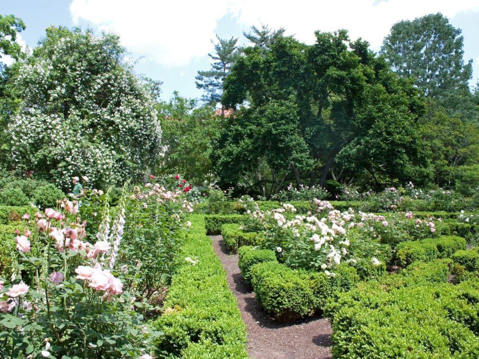 � ������ �� ������: ��� ���������� ���������� � ��������� �� �������