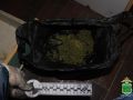 Почти килограмм марихуаны изъяли полицейские у жителя Биробиджана