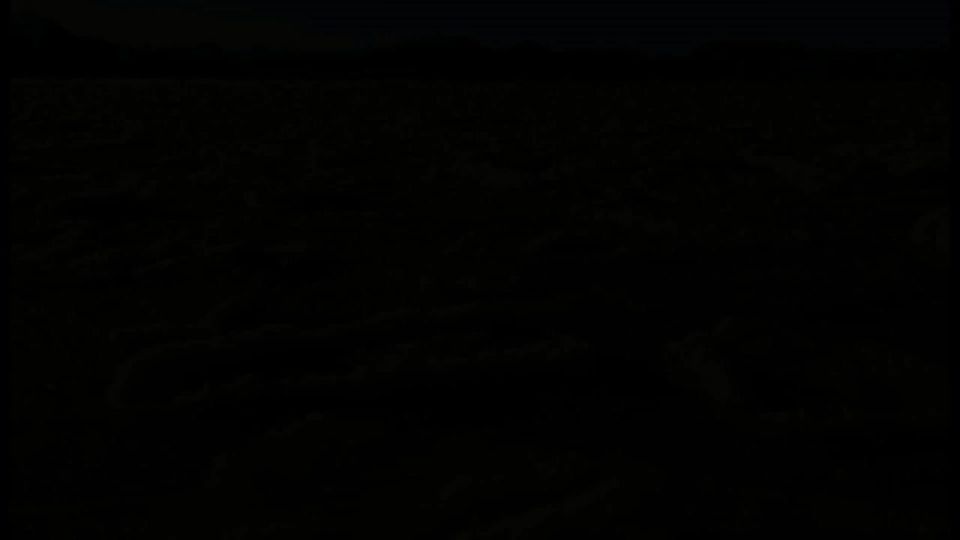 ������������ ������ �������� �������� ����� (����) �������� ������ � ��������� �����������������, � ������� ����� ������� ����������, �������� ����� ������� ������� ���������������� ������������ ������