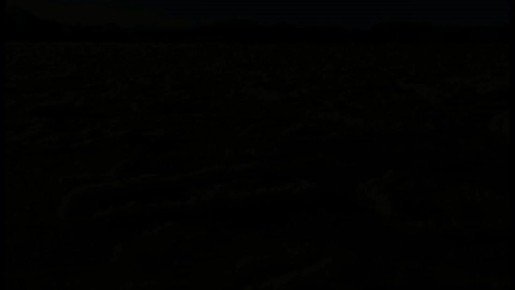 Представляем вашему вниманию короткий фильм (клип) «Дальний Восток в объективе Дальневосточников», в котором можно увидеть интересные, красивые места каждого региона Дальневосточного федерального округа