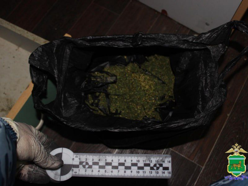 ����� ��������� ��������� ������ ����������� � ������ �����������