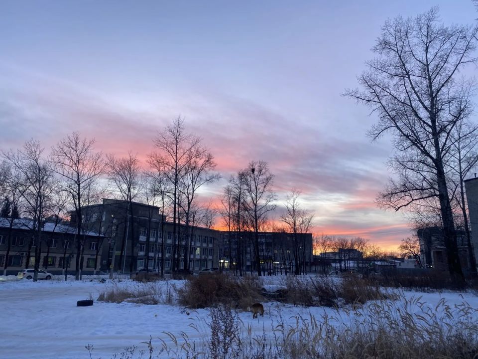 ������ ����, ��������� ���������� �������!