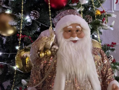 Тельцы смогут проявить организаторские способности, а Девы будут хорошо анализировать ситуацию