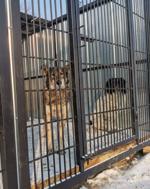 ��� ����������� �������� ������ ������ ���������� ���������� ������������ ��������