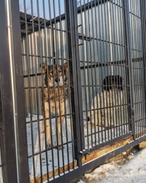 ��� ����������� �������� ������ ������ ���������� ���������� ������������ ��������