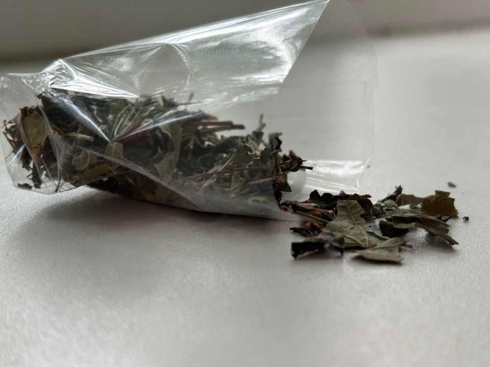 ������������ �������: ��� ��������� ��������� ��������� ������������ � ���������